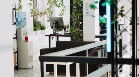 Aménagement de bureau style Biophilique