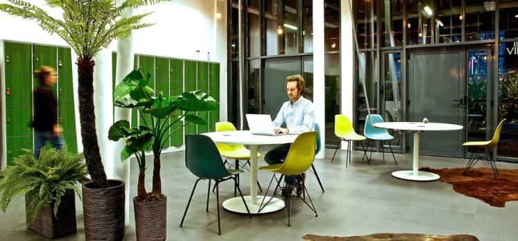 3 plantes vertes dans un espace de travail