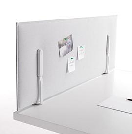 Adamello front Acoustique