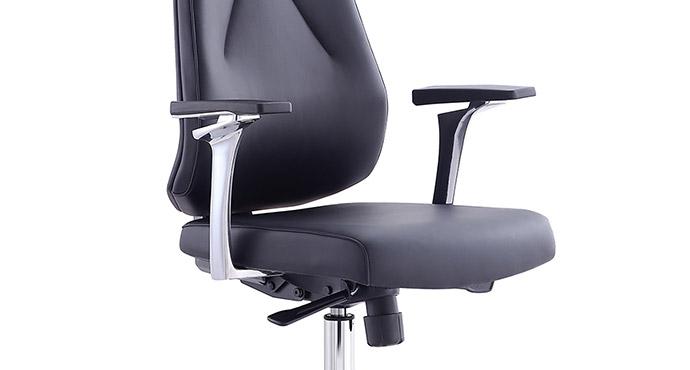 Déclinaisons & tarifs Carron Fauteuil de direction
