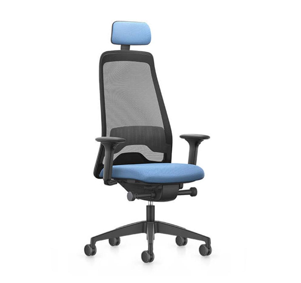 Siège ergonomique avec accoudoirs 3D, soutien lombaire, translation d\'assise, mécanisme synchrone et option tétière - gamme everyis1 couleur - france bureau