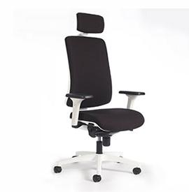 Patea Siège de bureau ergonomique