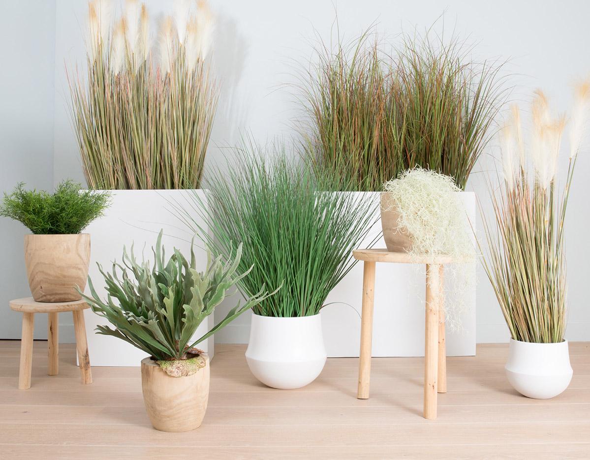 Plante d\'extérieur, arbres et petites plantes de bureau aspect naturel, gamme Tambora - France Bureau