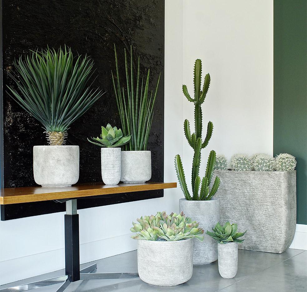 Plante d\'extérieur, arbres et petites plantes de bureau aspect naturel, gamme Tambora - France Bureau