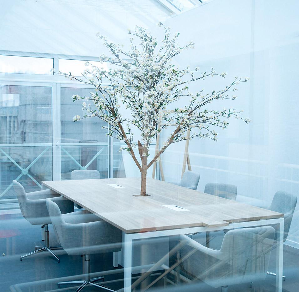 Plante d\'extérieur, arbres et petites plantes de bureau aspect naturel, gamme Tambora - France Bureau