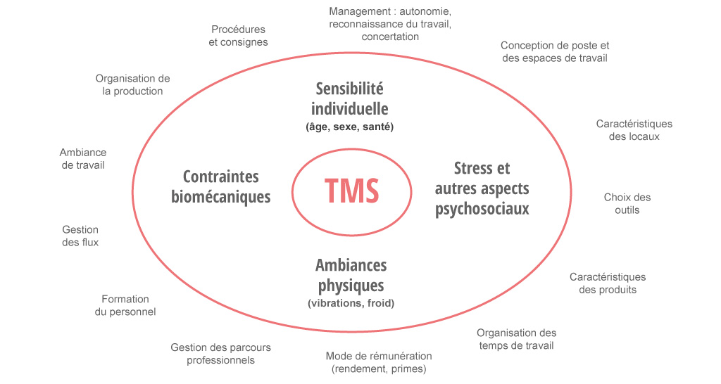 Les origines des TMS