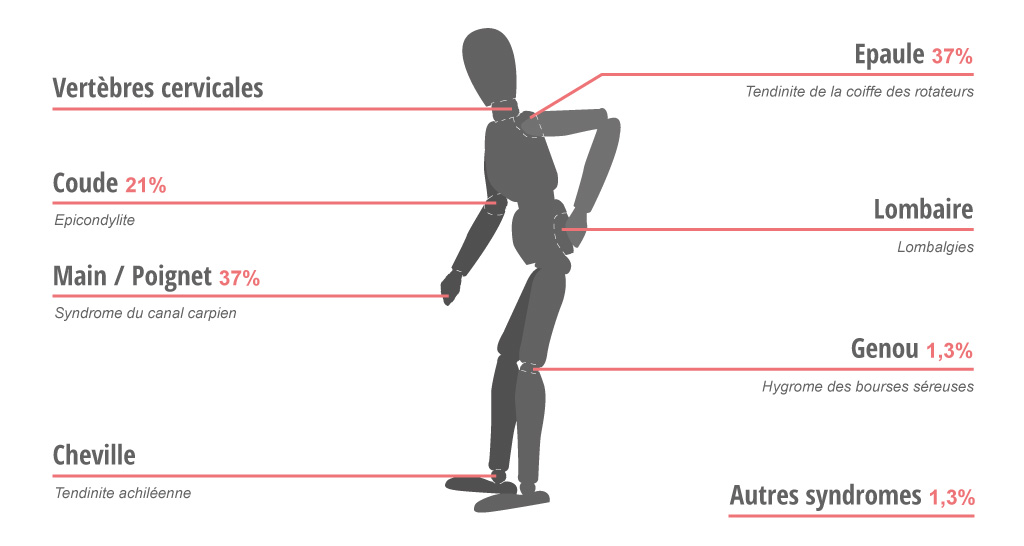 Les répartitions des TMS