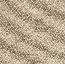 Tissu One 479